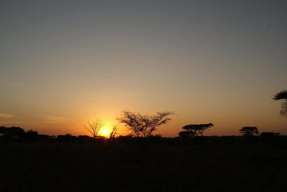 Ikoma Tented Camp Serengeti Extérieur photo